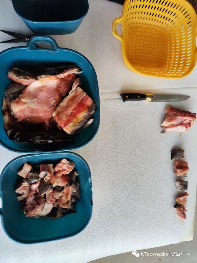 臭氧可以用于魚(yú)肉去腥去血水嗎？